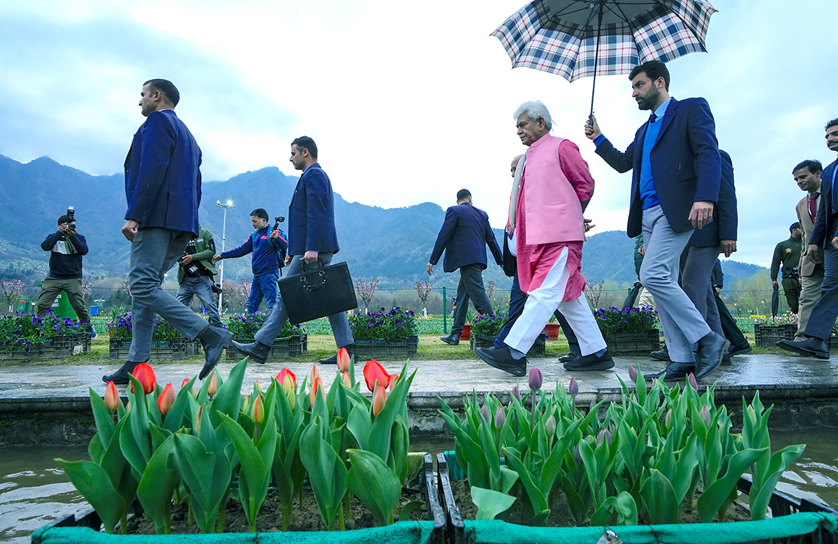 Asia Largest Tulip Garden In Kashmir Will Open Photos - Sakshi16