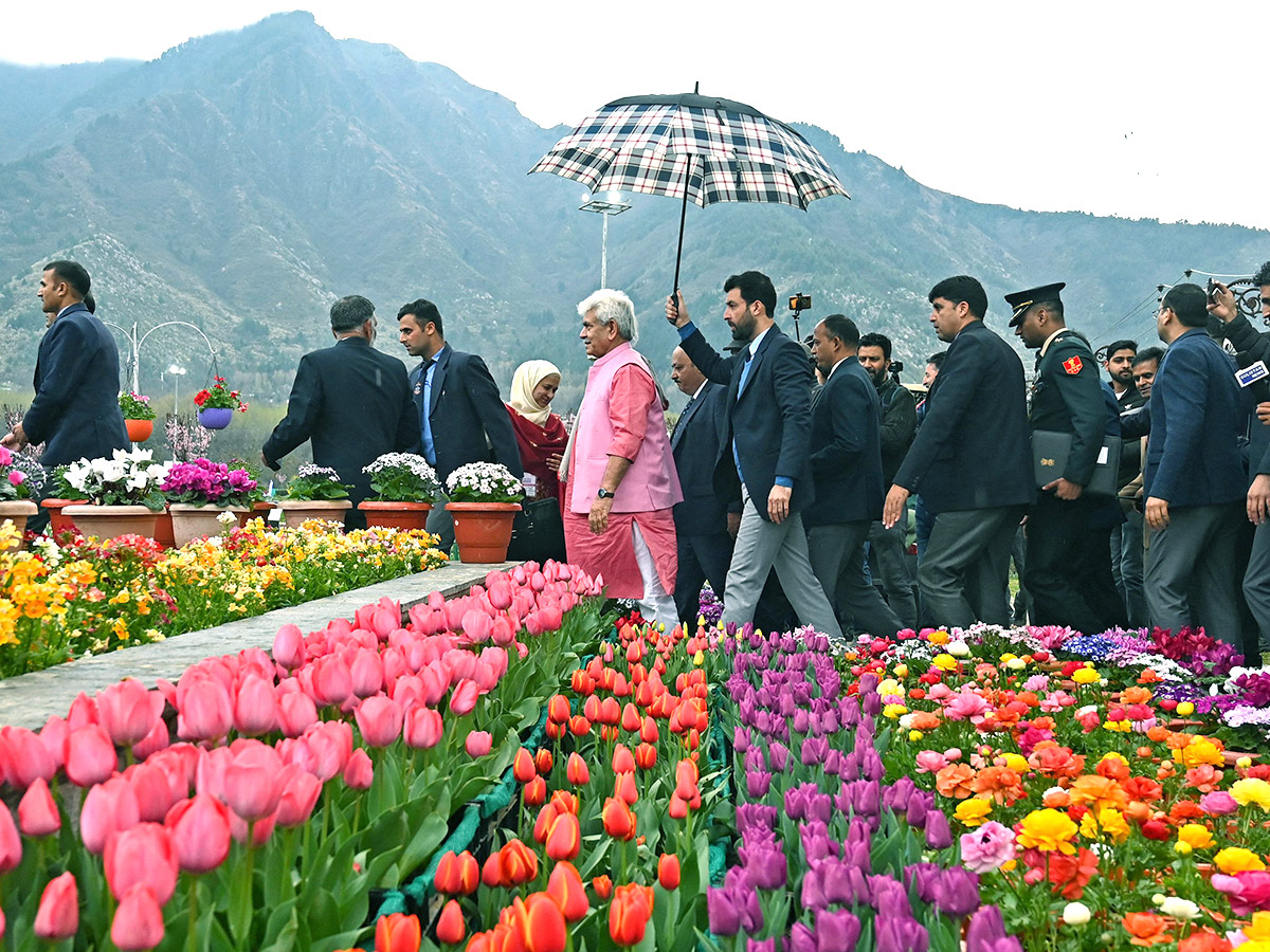 Asia Largest Tulip Garden In Kashmir Will Open Photos - Sakshi2