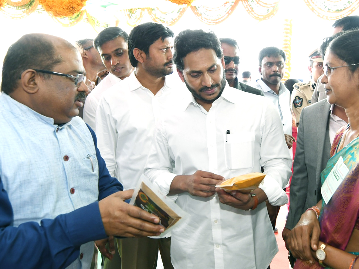 CM Jagan to Release YSR Asara Funds at Denduluru Photos - Sakshi4