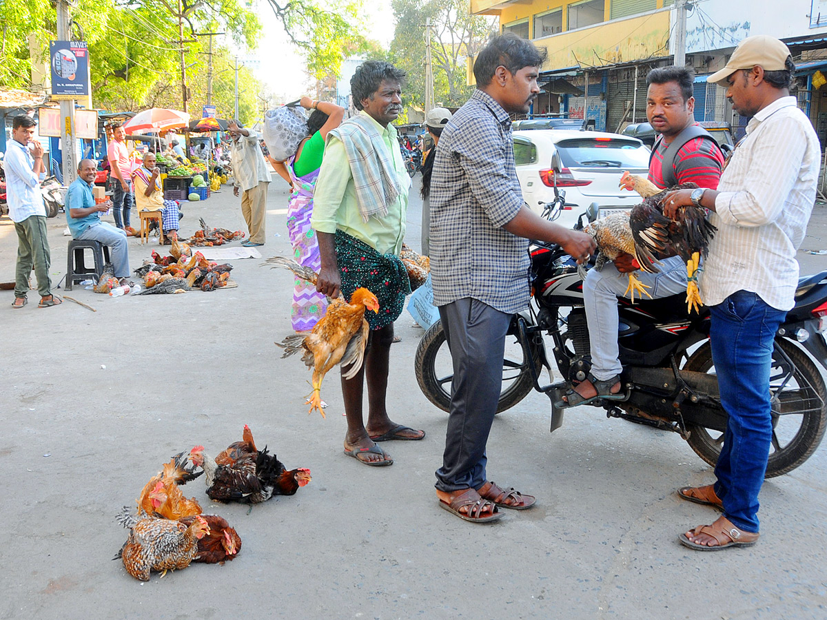 Best Photos of The Week in AP and Telangana Photo Gallery - Sakshi17