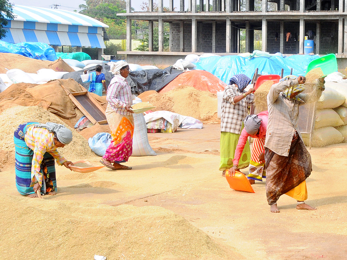 Best Photos of The Week in AP and Telangana Photo Gallery - Sakshi19