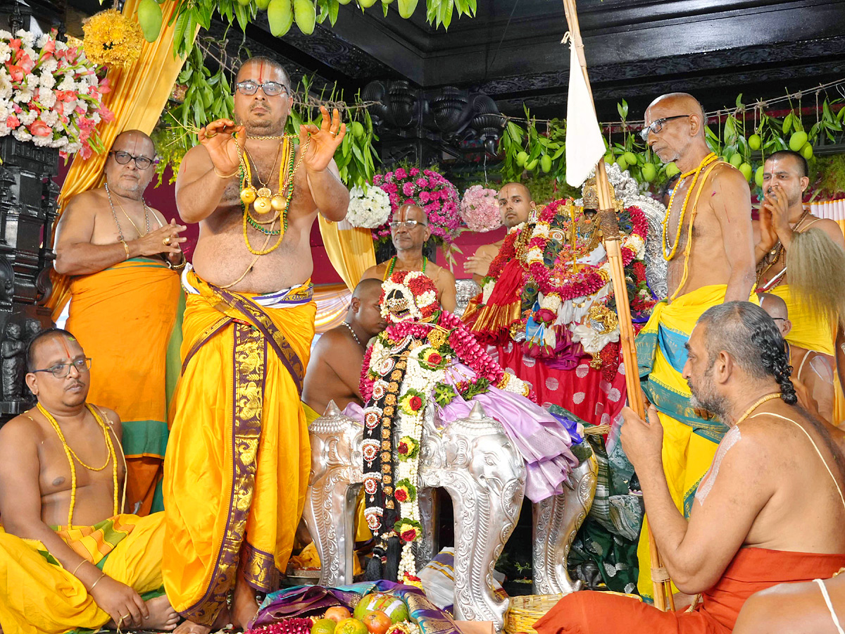 Bhadrachalam Sri Rama Navami Celebrations Photos - Sakshi5