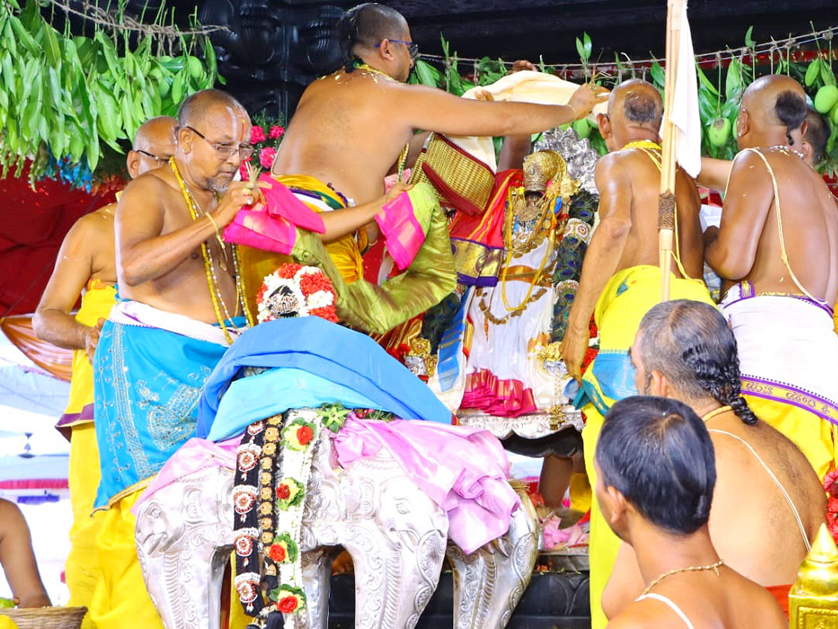 Bhadrachalam Sri Rama Navami Celebrations Photos - Sakshi7