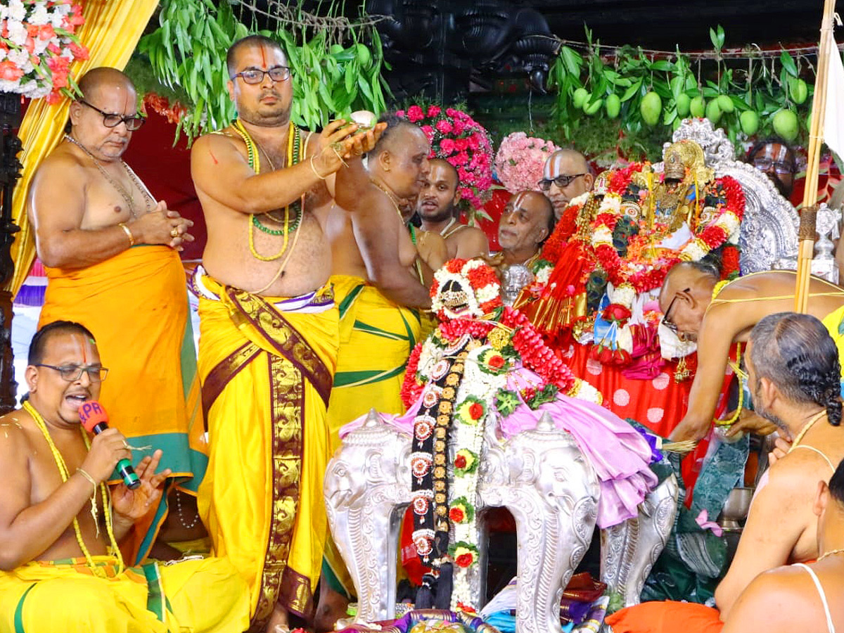 Bhadrachalam Sri Rama Navami Celebrations Photos - Sakshi8