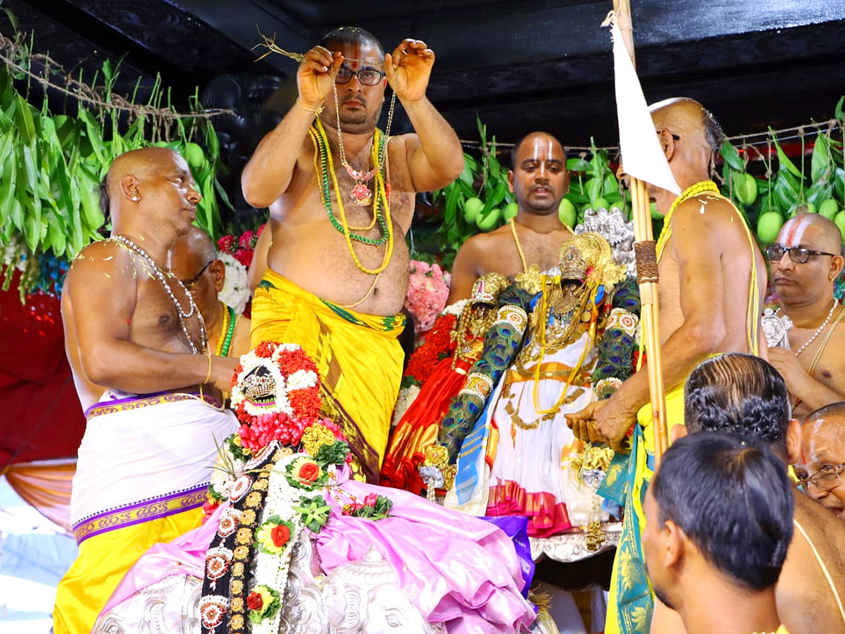 Bhadrachalam Sri Rama Navami Celebrations Photos - Sakshi9