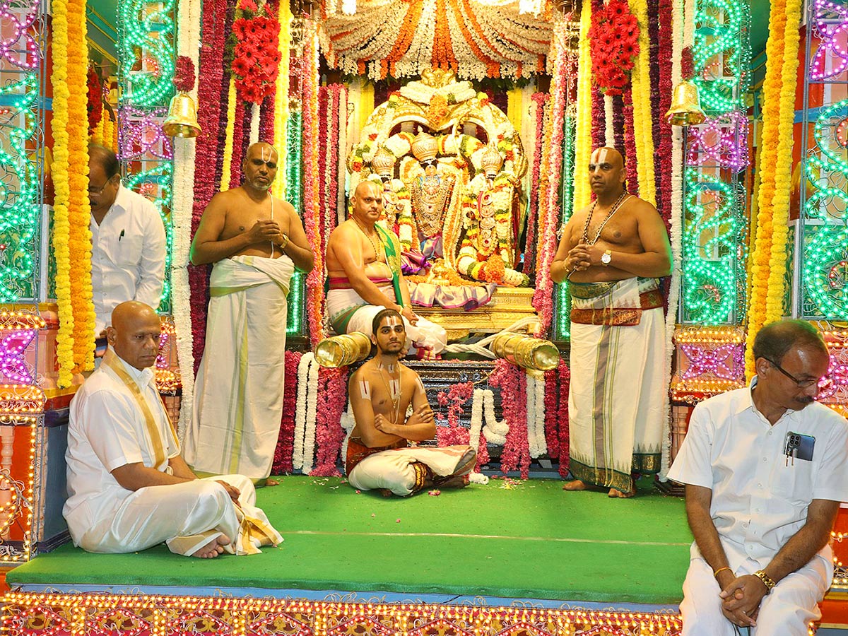 Srivari Salakatla Theppanotsavam in Tirumala - Sakshi11