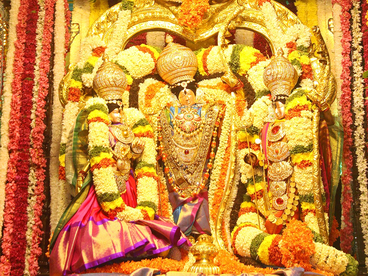 Srivari Salakatla Theppanotsavam in Tirumala - Sakshi7