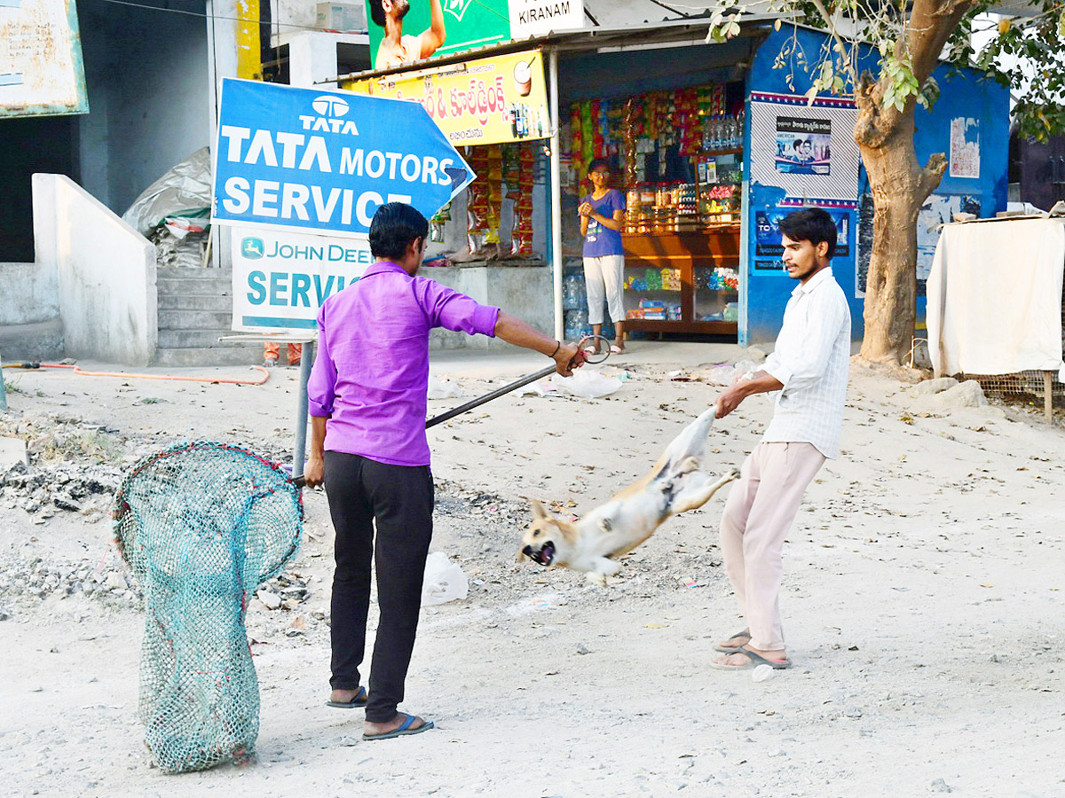 Best Photos of The Week in AP and Telangana Photo Gallery - Sakshi18