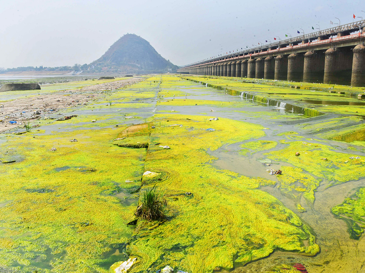 Best Photos of The Week in AP and Telangana Photo Gallery - Sakshi3