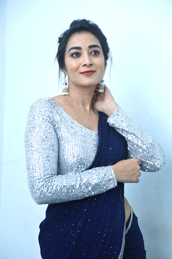 Actress Bhanu Sri Latest HD Glamorous Photos - Sakshi11