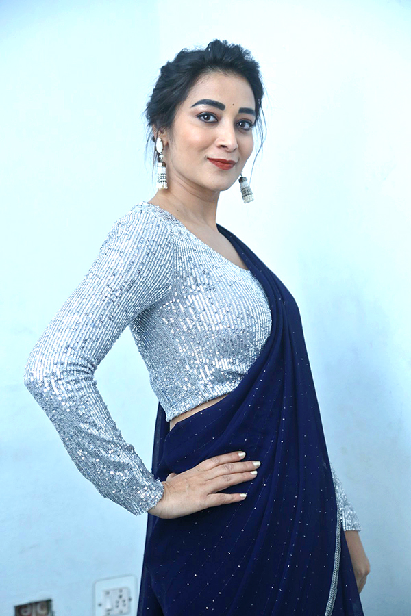 Actress Bhanu Sri Latest HD Glamorous Photos - Sakshi2