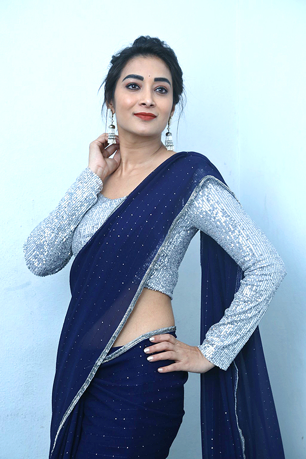 Actress Bhanu Sri Latest HD Glamorous Photos - Sakshi25