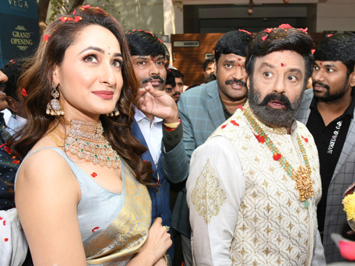 Jewellery Showroom Grand Opening By Balakrishna Photos - Sakshi11