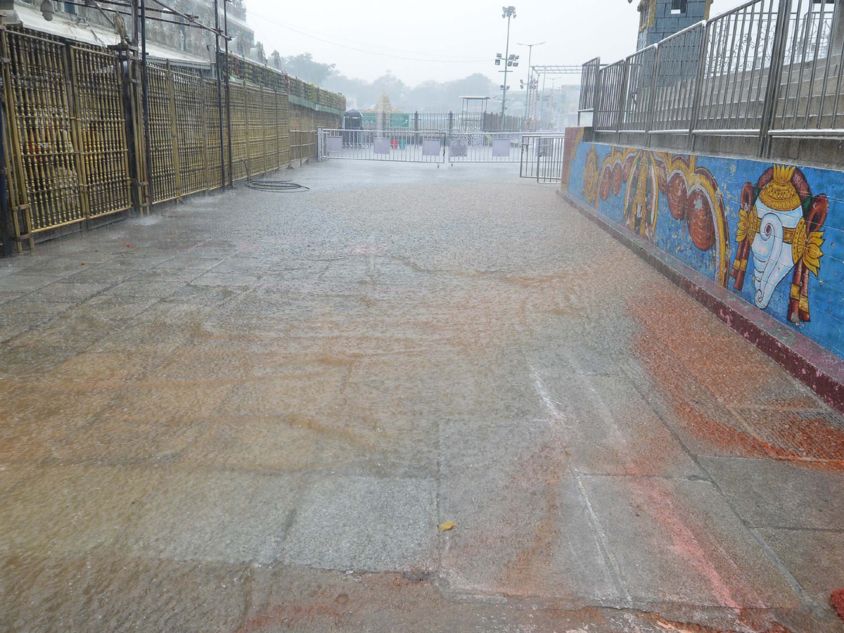 HEAVY RAIN IN TIRUMALA Photos - Sakshi12