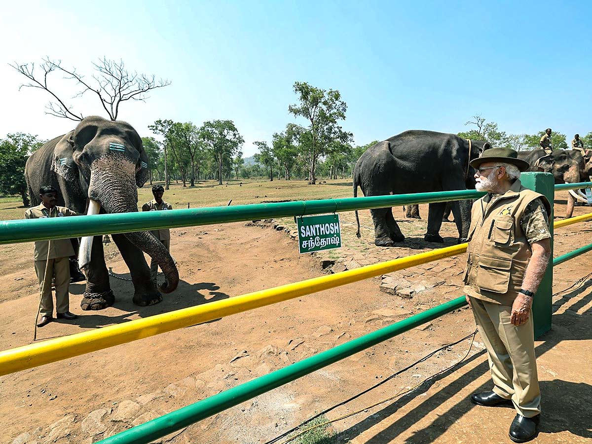 PM Narendra Modi At Tiger Reserve Photos - Sakshi33