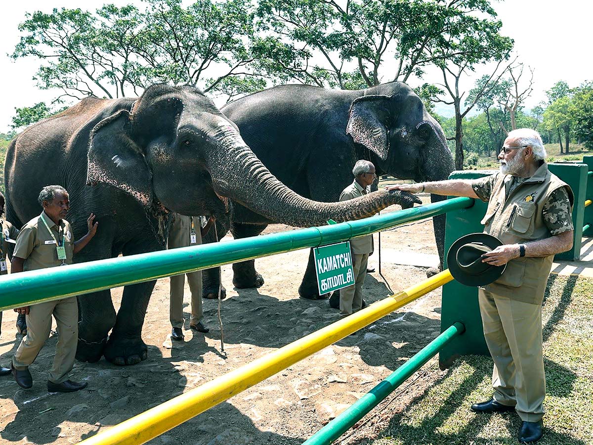 PM Narendra Modi At Tiger Reserve Photos - Sakshi34