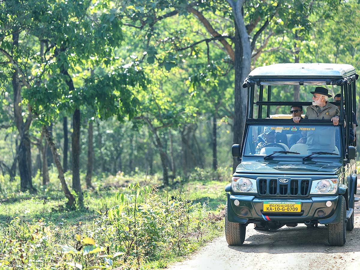 PM Narendra Modi At Tiger Reserve Photos - Sakshi36