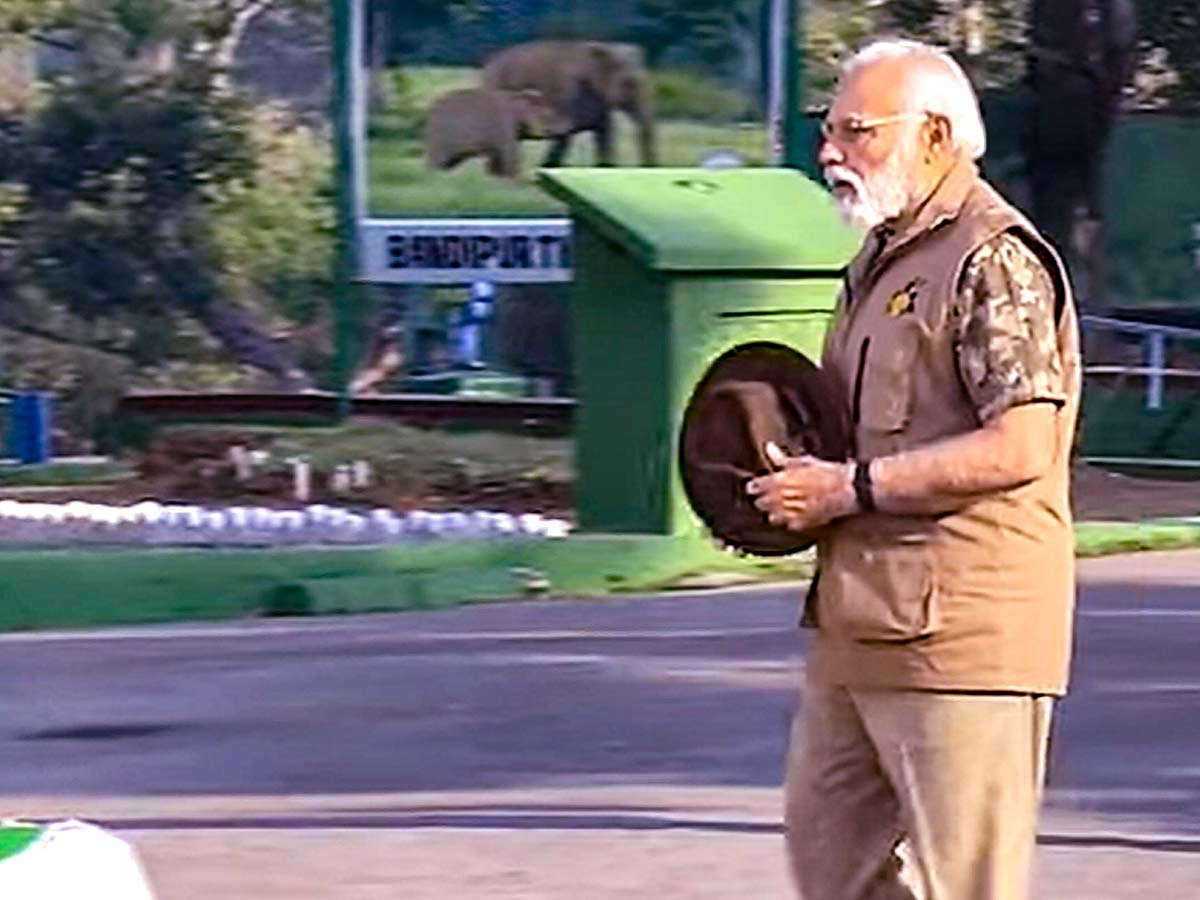 PM Narendra Modi At Tiger Reserve Photos - Sakshi38