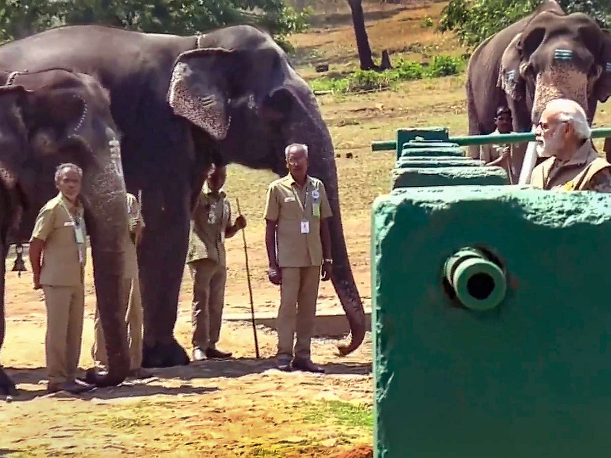 PM Narendra Modi At Tiger Reserve Photos - Sakshi44