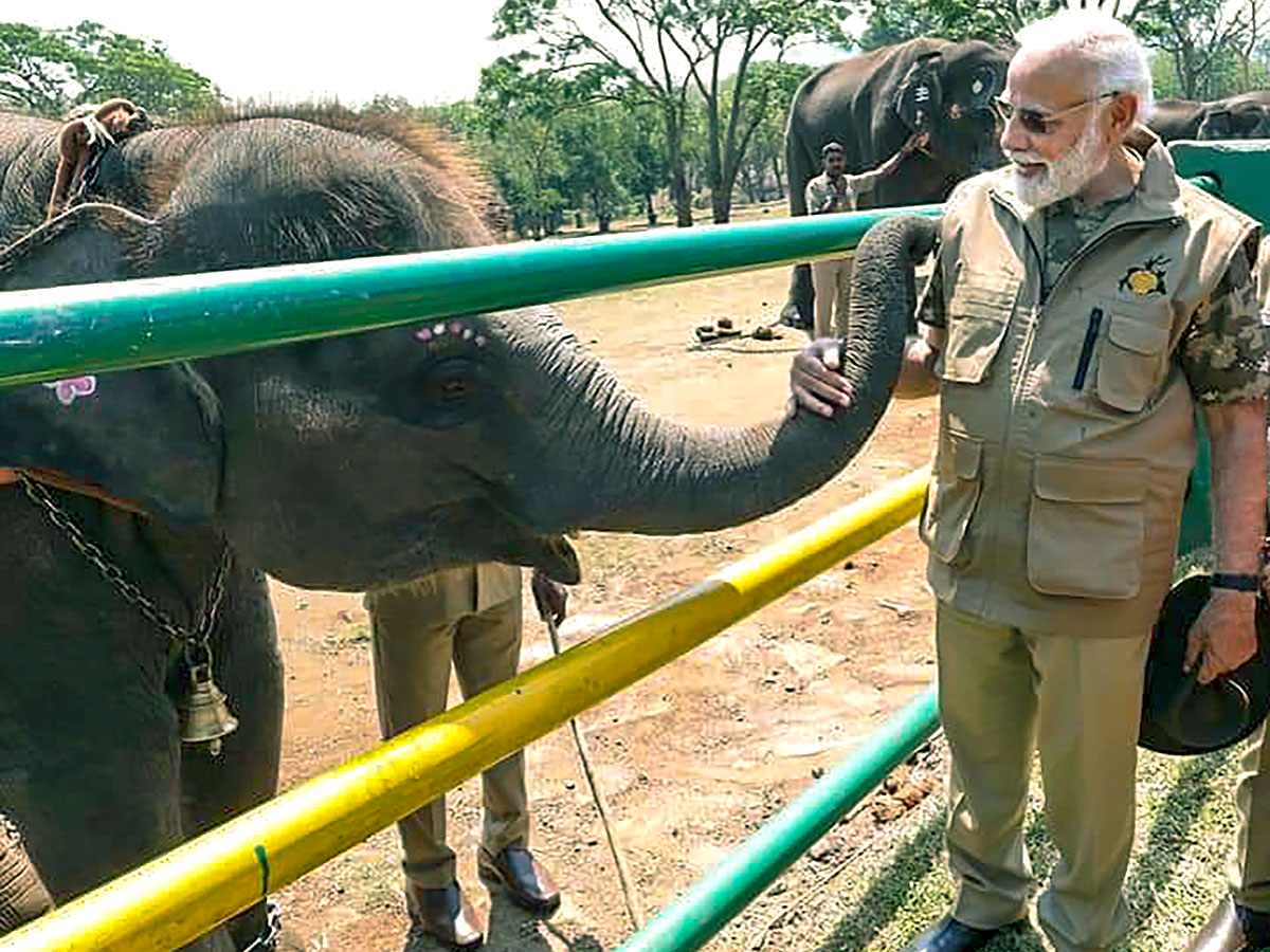 PM Narendra Modi At Tiger Reserve Photos - Sakshi27