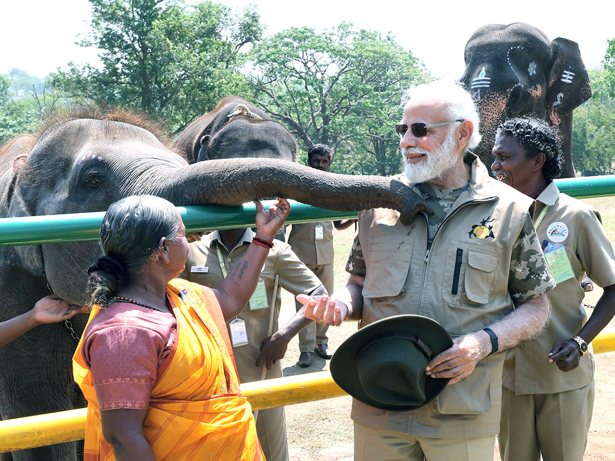 PM Narendra Modi At Tiger Reserve Photos - Sakshi15