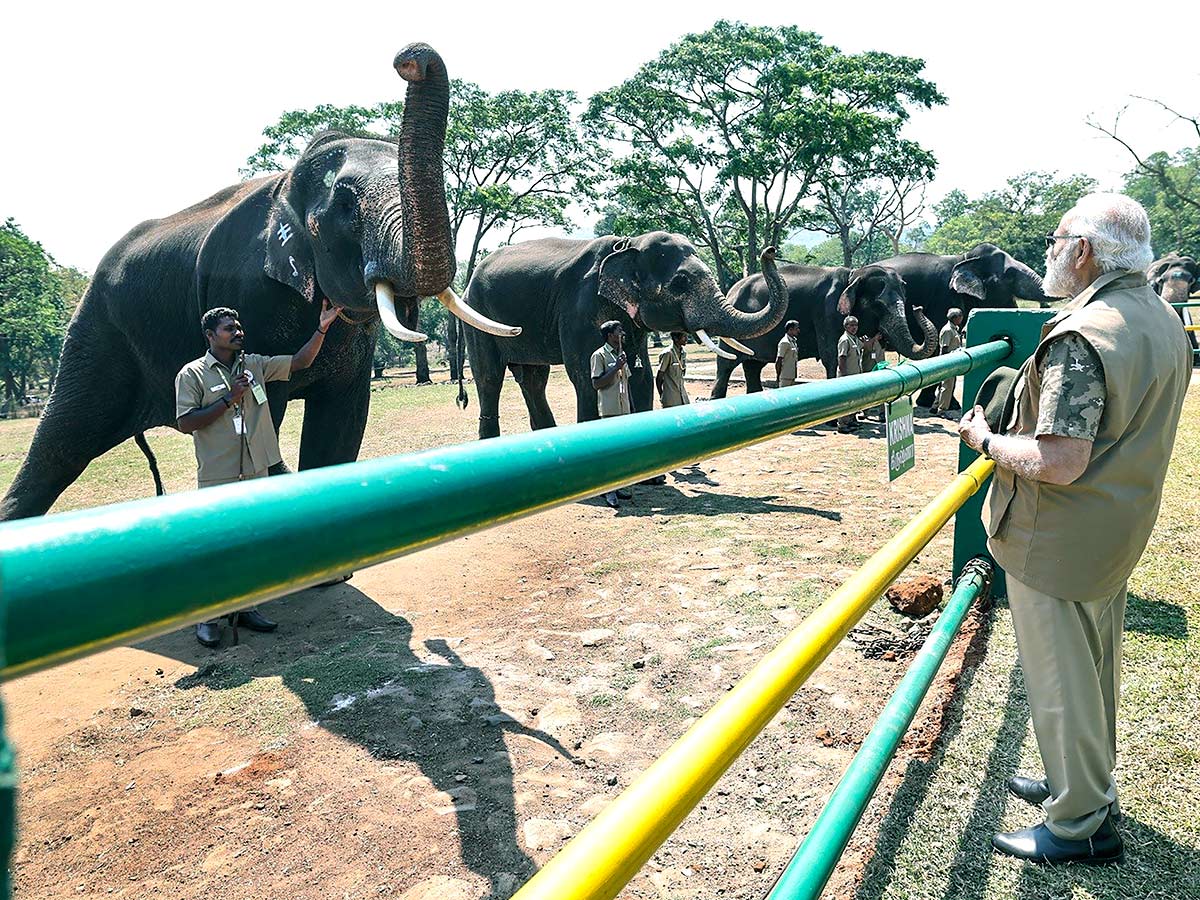 PM Narendra Modi At Tiger Reserve Photos - Sakshi19