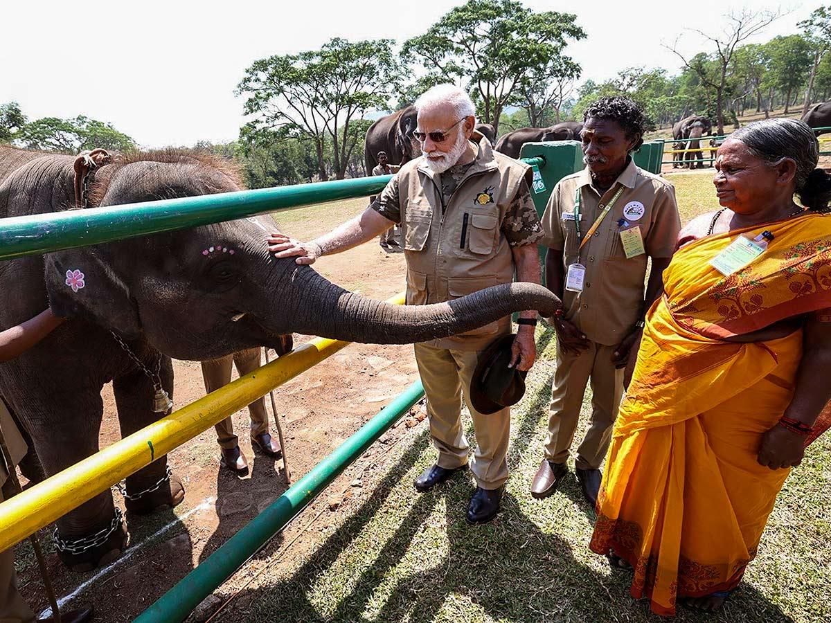 PM Narendra Modi At Tiger Reserve Photos - Sakshi21