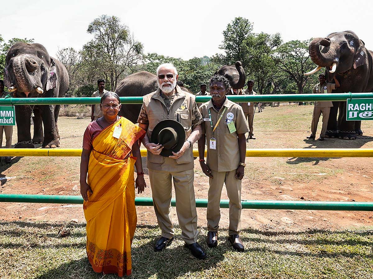 PM Narendra Modi At Tiger Reserve Photos - Sakshi23