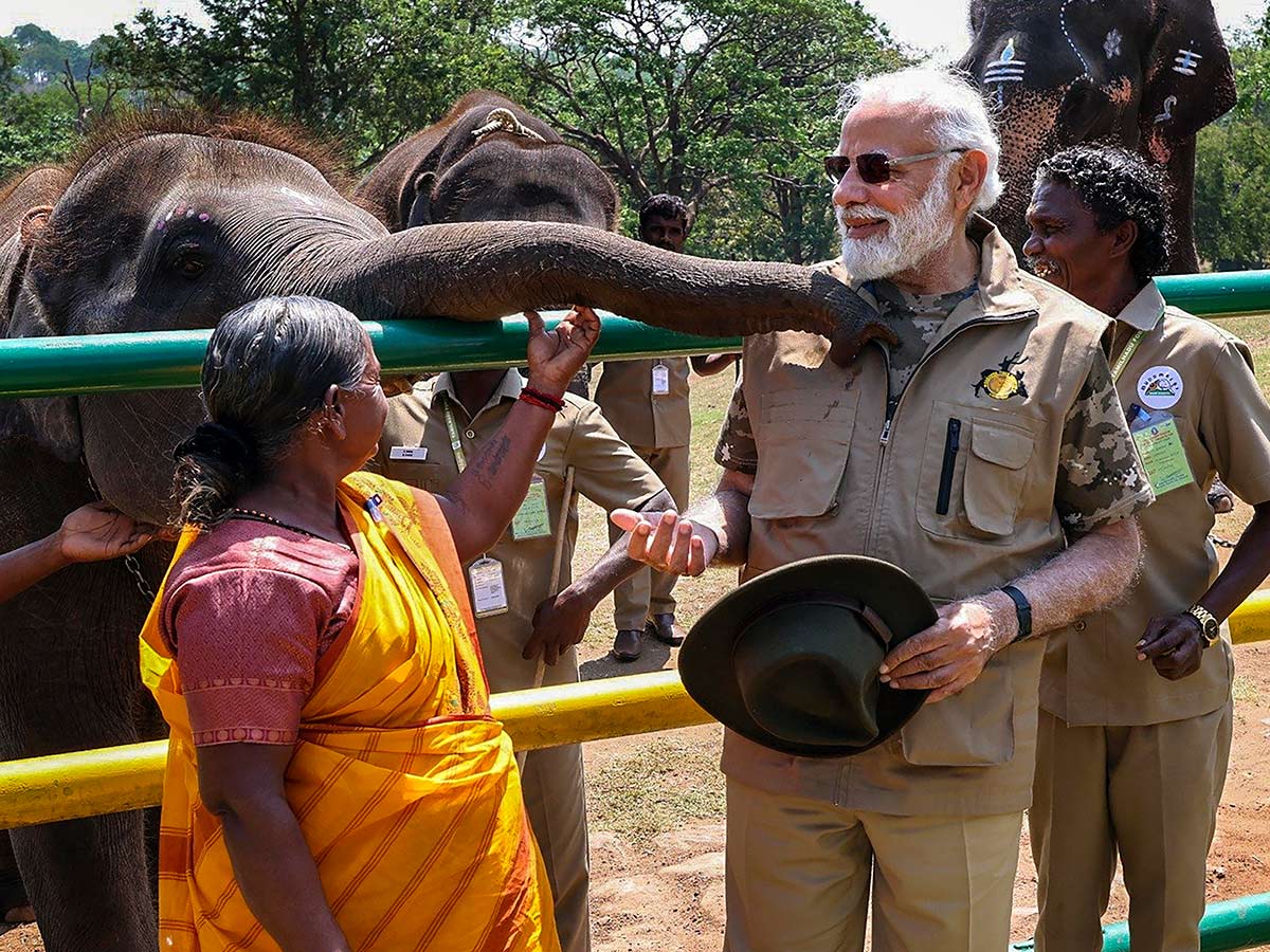 PM Narendra Modi At Tiger Reserve Photos - Sakshi24