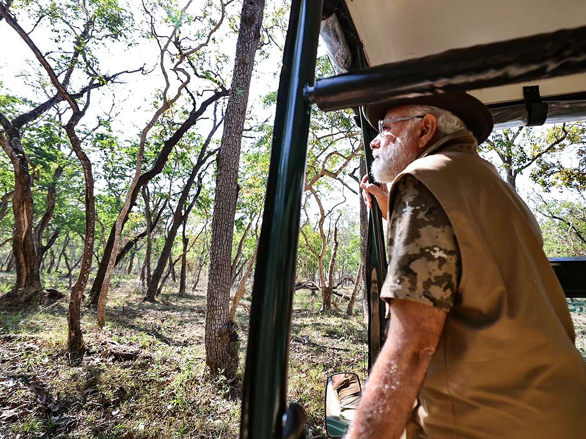 PM Narendra Modi At Tiger Reserve Photos - Sakshi5