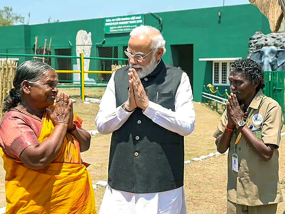 PM Narendra Modi At Tiger Reserve Photos - Sakshi8