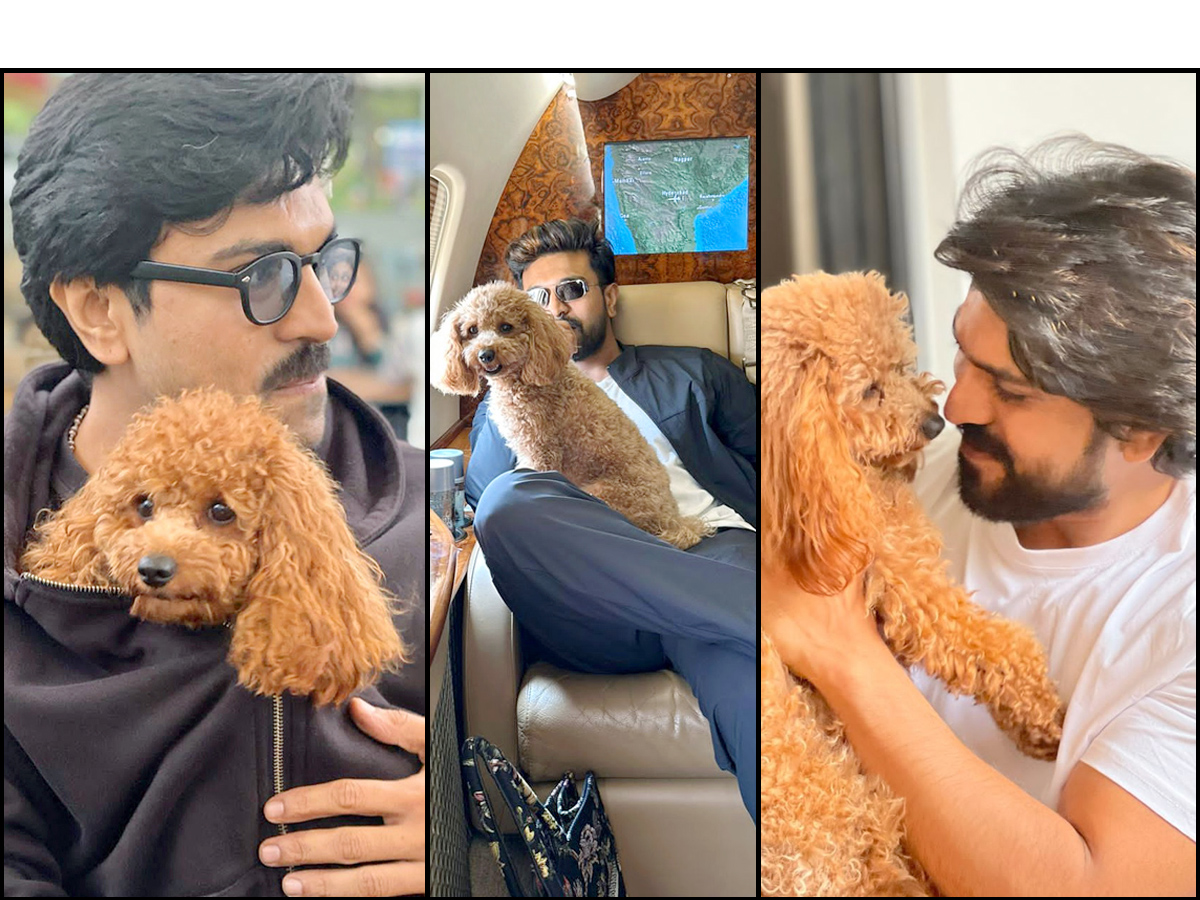 Ram Charan Moments With His Pet Dog Photos - Sakshi1