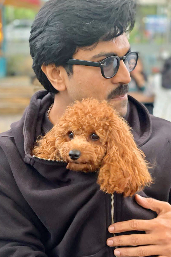 Ram Charan Moments With His Pet Dog Photos - Sakshi3