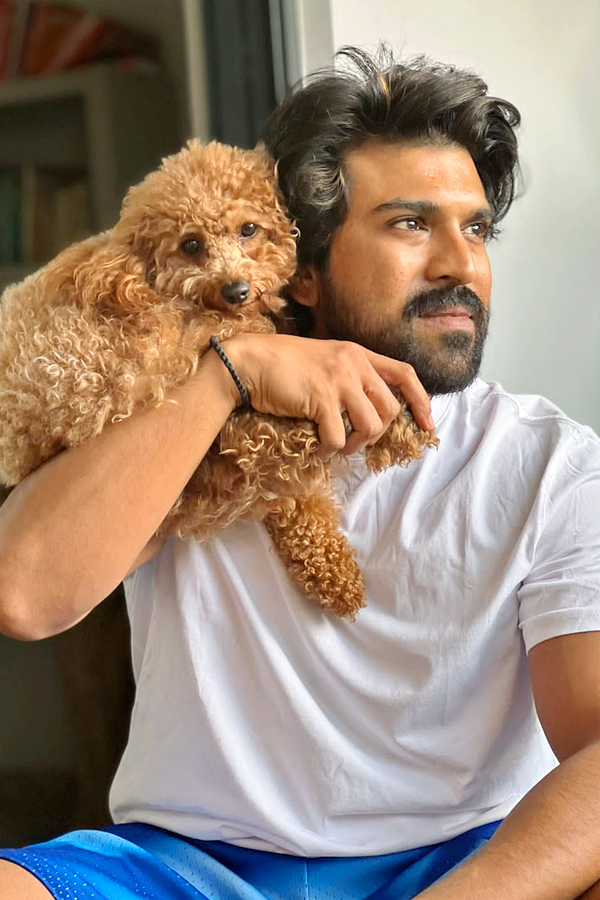 Ram Charan Moments With His Pet Dog Photos - Sakshi4