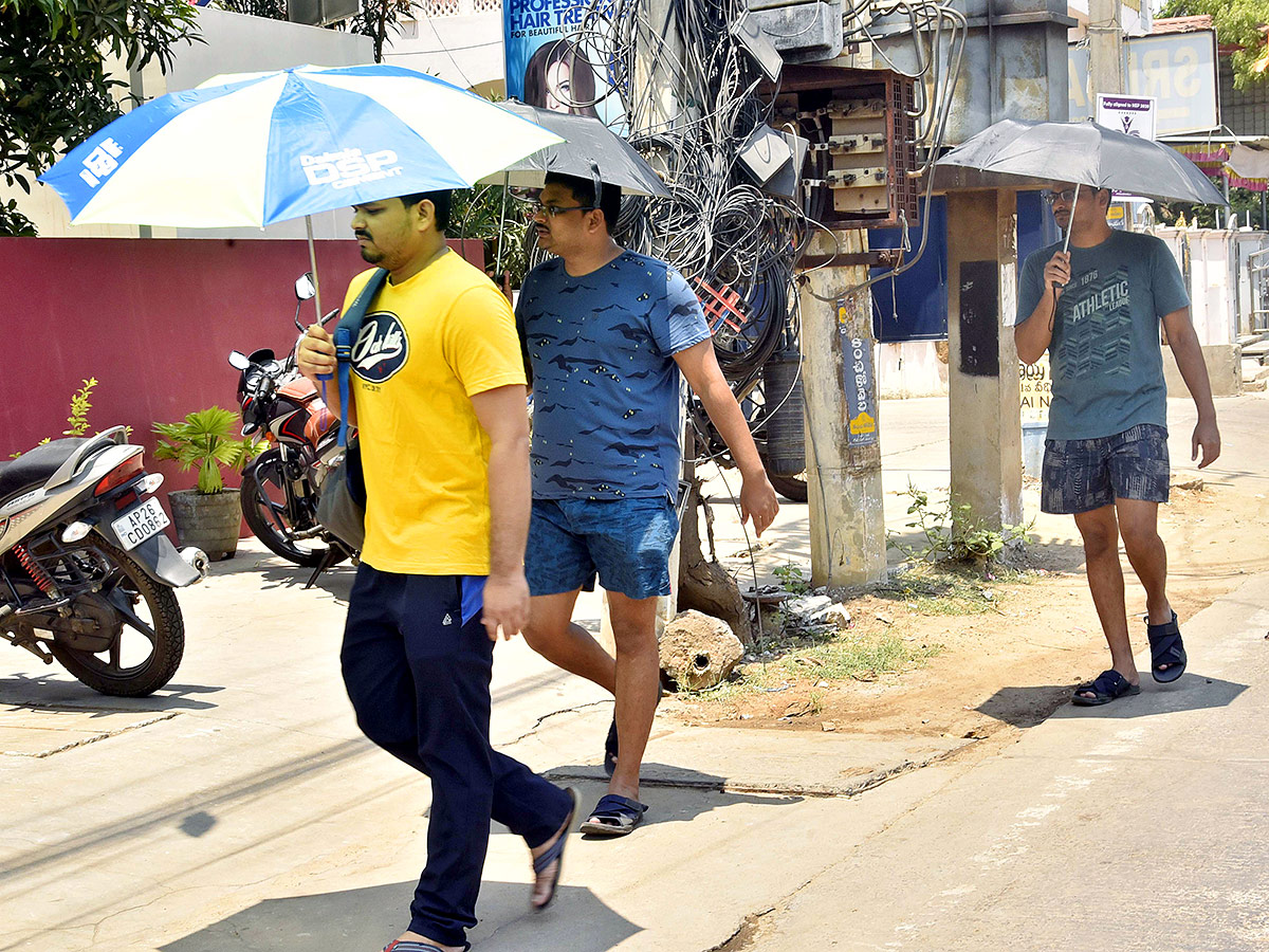 Summer Heat Temperature Up In Andhra Pradesh, Photos Gallery Goes Viral - Sakshi13