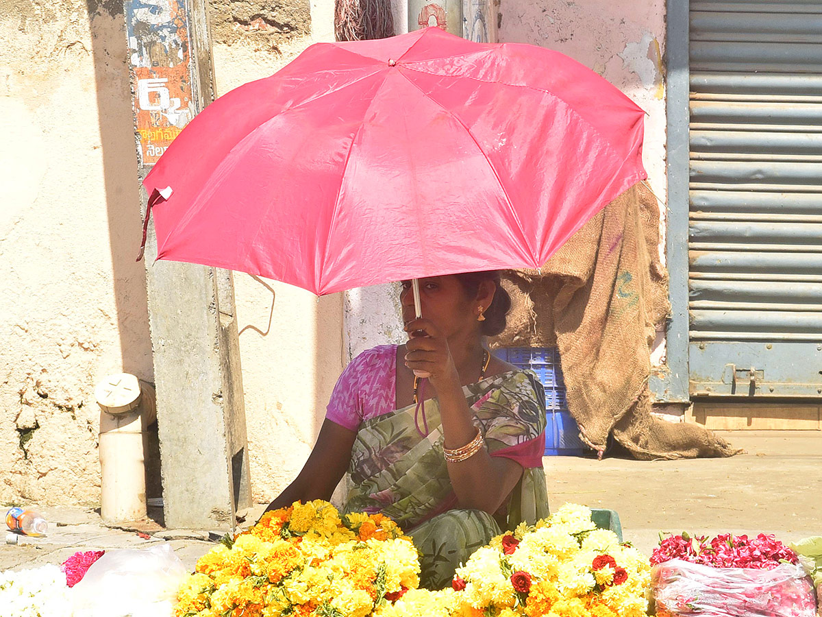 Summer Heat Temperature Up In Andhra Pradesh, Photos Gallery Goes Viral - Sakshi27