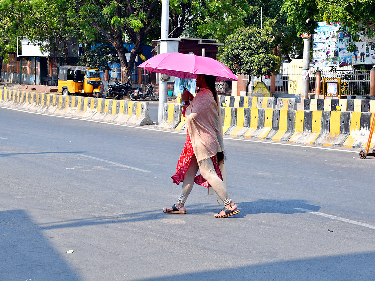 Summer Heat Temperature Up In Andhra Pradesh, Photos Gallery Goes Viral - Sakshi29