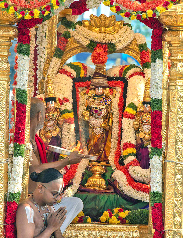 Tirumala Srivari Varshika Vasanthotsavam 2023 - Sakshi12