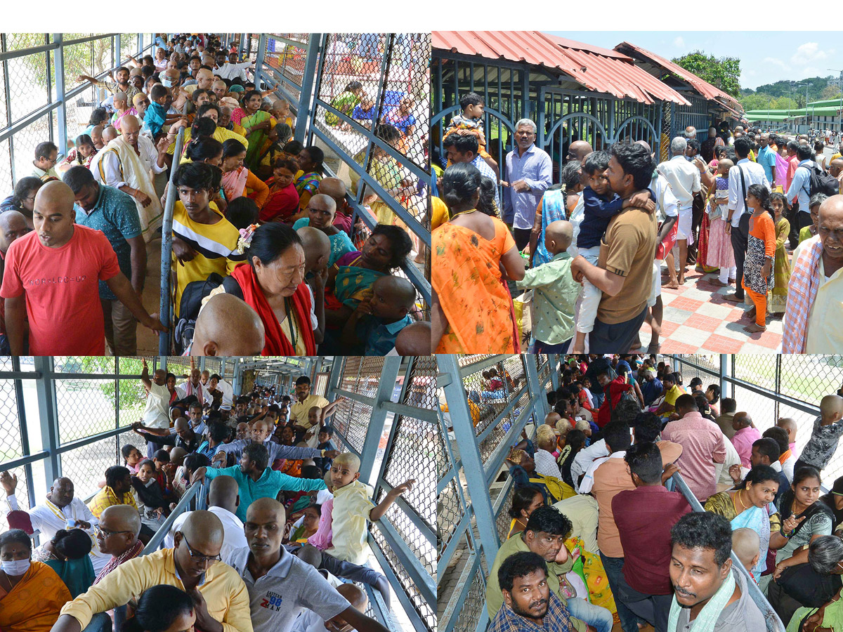 Huge Devotees Rush At Tirumala Tirupati Photos - Sakshi1