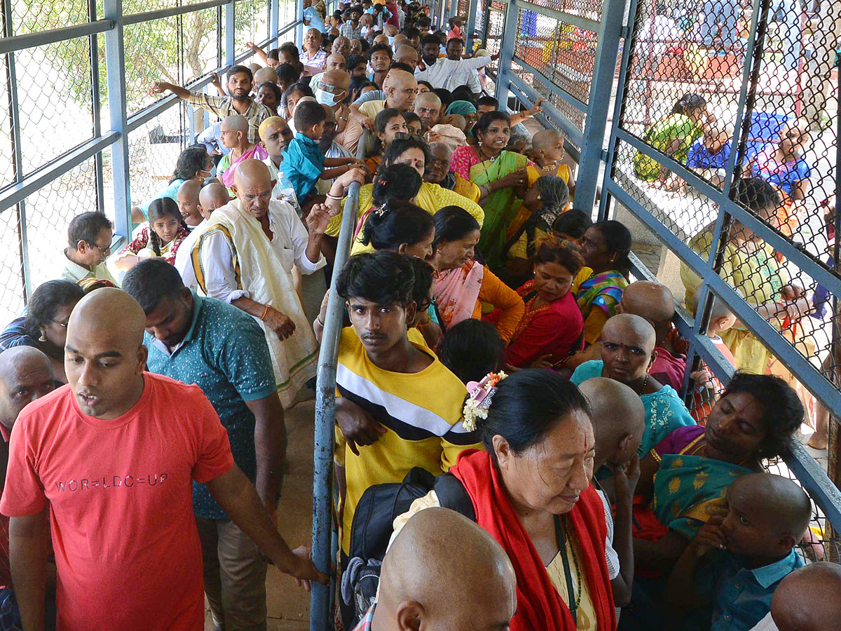 Huge Devotees Rush At Tirumala Tirupati Photos - Sakshi8