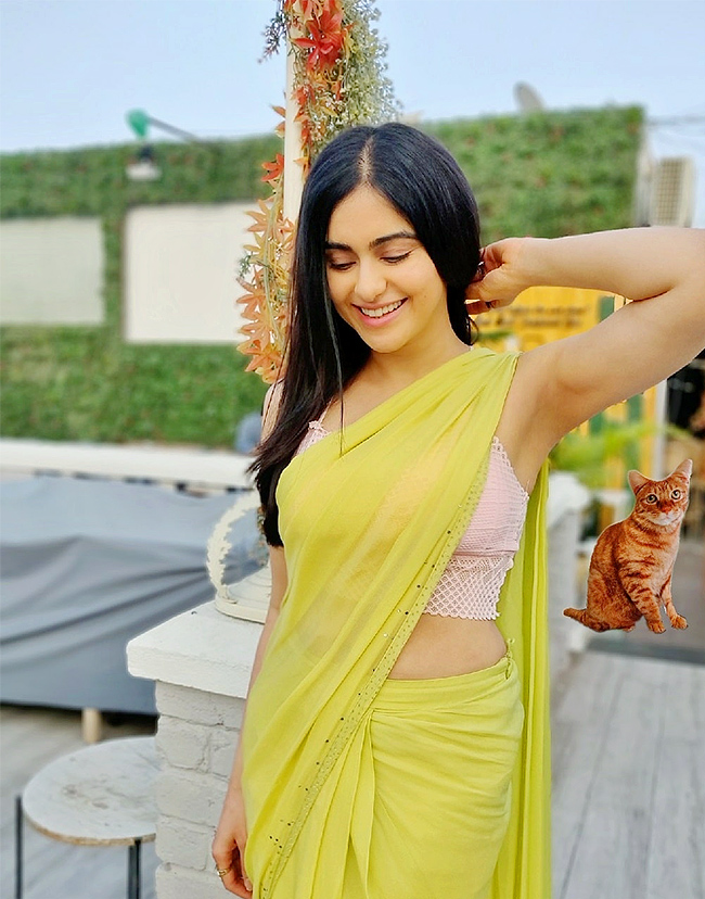 The Kerala Story Actress Adah Sharma Birthday Special Photos - Sakshi24