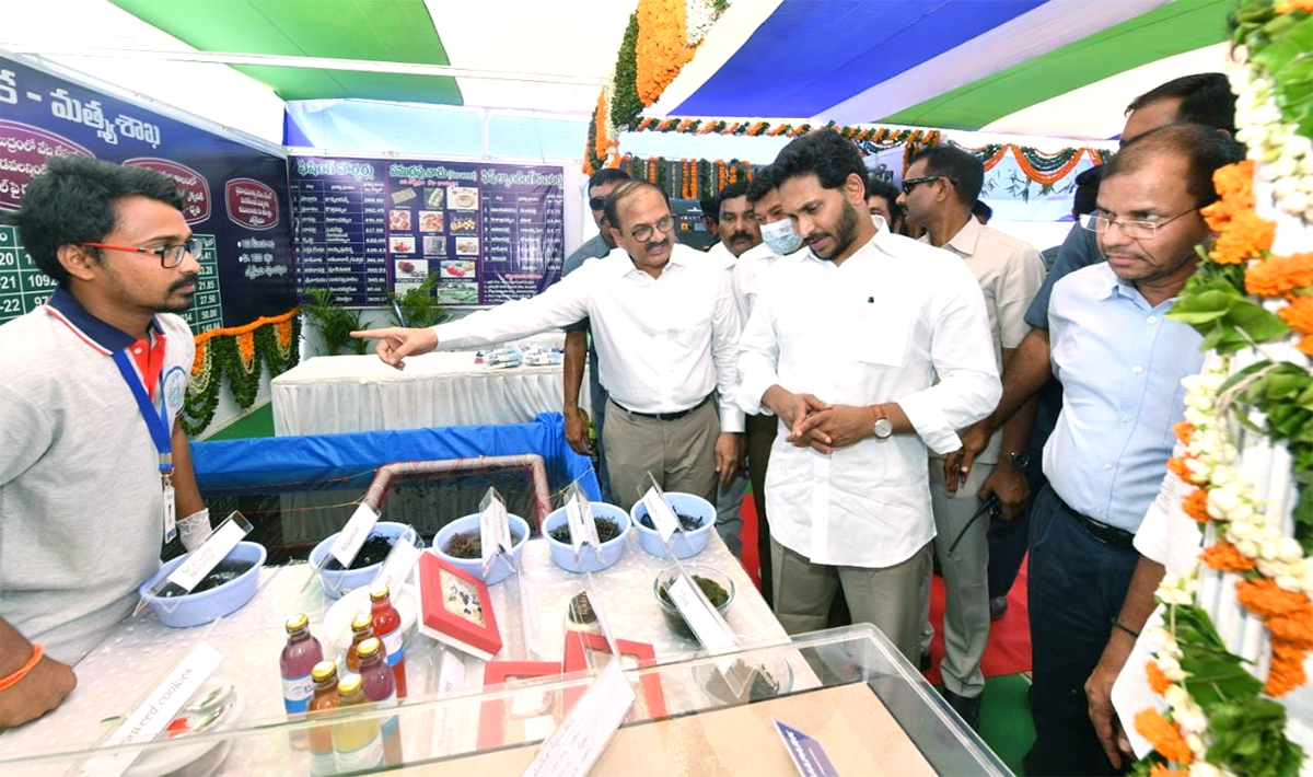 CM Jagan To Release YSR Matsyakara Bharosa Funds at Bapatla Nizampatnam Photo Gallery - Sakshi2