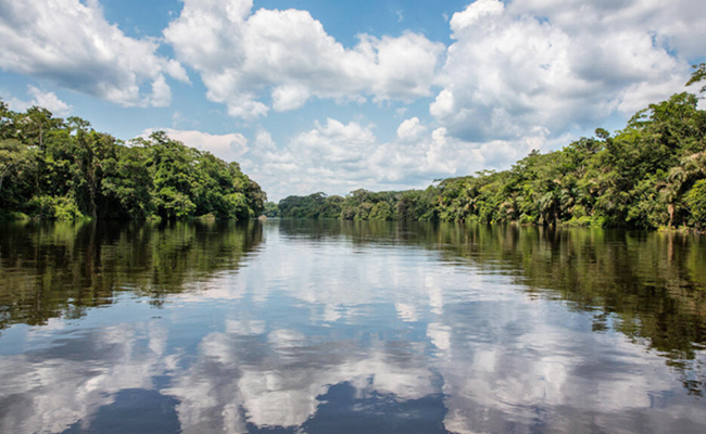 congo basin central africa - Sakshi10