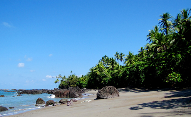 corcovado national park costa rica - Sakshi3