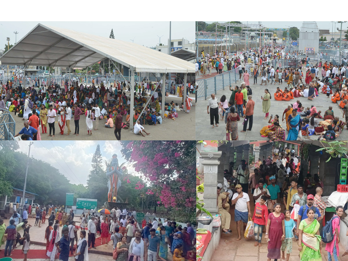 Devotees Huge Crowd at Tirumala Temple Photos - Sakshi1