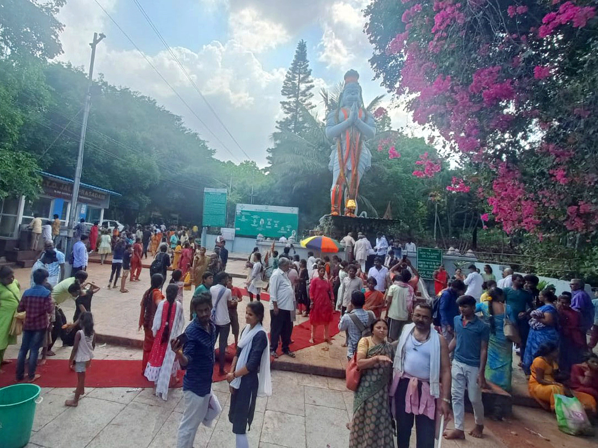 Devotees Huge Crowd at Tirumala Temple Photos - Sakshi3