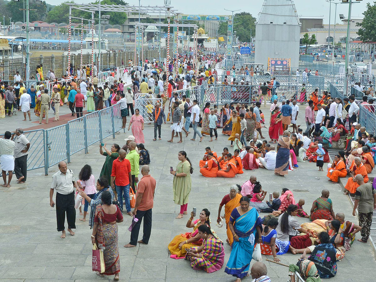 Devotees Huge Crowd at Tirumala Temple Photos - Sakshi10