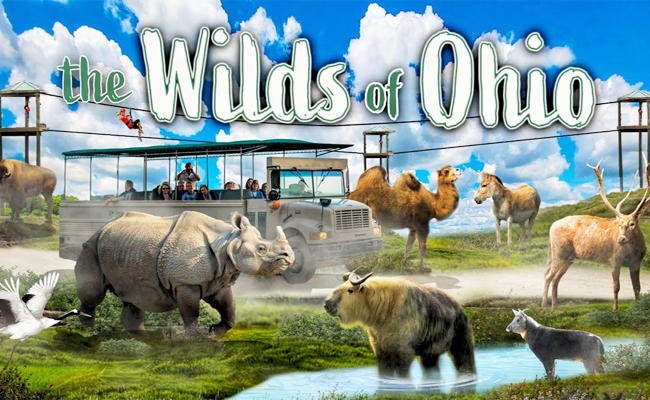 Top 10 Zoological Parks In The World - Sakshi2