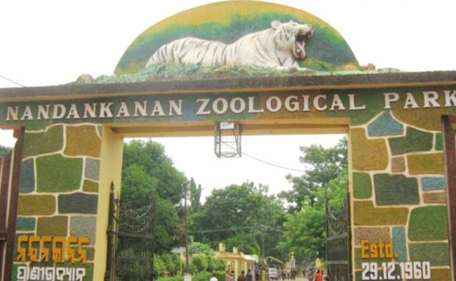 Top 10 Zoological Parks In The World - Sakshi8