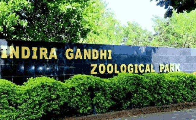 Top 10 Zoological Parks In The World - Sakshi10